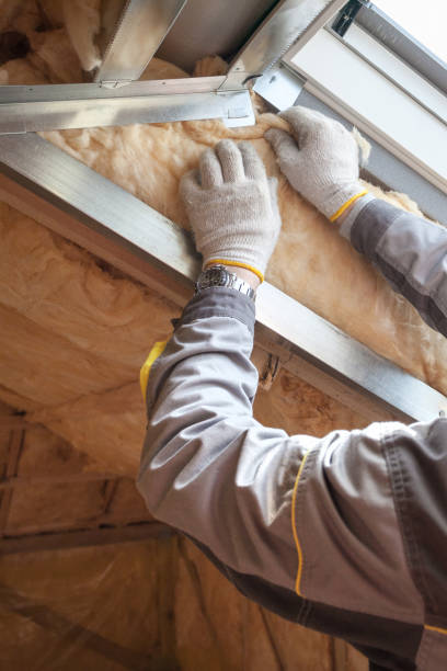Best Insulation Installation Services in Rossford, OH